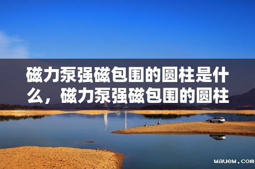 磁力泵强磁包围的圆柱是什么,磁力泵强磁包围的圆柱体解密,关键部件揭秘 磁力泵强磁包围的圆柱是什么,磁力泵强磁包围的圆柱体解密,关键部件揭秘