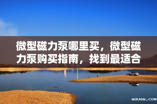 微型磁力泵哪里买,微型磁力泵购买指南,找到最适合你的购买渠道 微型磁力泵哪里买,微型磁力泵购买指南,找到最适合你的购买渠道