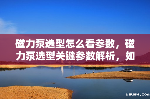 磁力泵选型怎么看参数,磁力泵选型关键参数解析,如何准确选择合适的磁力泵 磁力泵选型怎么看参数,磁力泵选型关键参数解析,如何准确选择合适的磁力泵