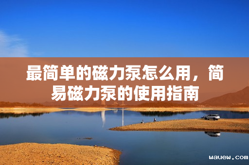 最简单的磁力泵怎么用,简易磁力泵的使用指南 最简单的磁力泵怎么用,简易磁力泵的使用指南