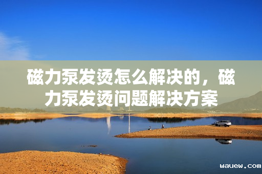 磁力泵发烫怎么解决的,磁力泵发烫问题解决方案 磁力泵发烫怎么解决的,磁力泵发烫问题解决方案