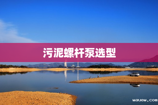 污泥螺杆泵选型 污泥螺杆泵选型