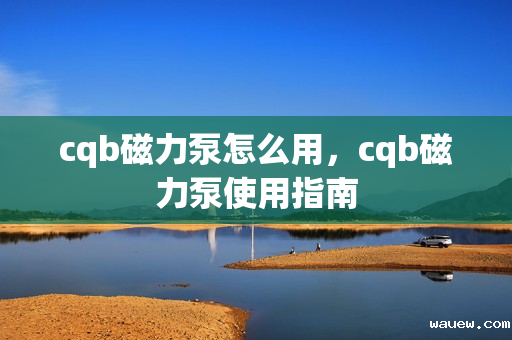 cqb磁力泵怎么用,cqb磁力泵使用指南 cqb磁力泵怎么用,cqb磁力泵使用指南