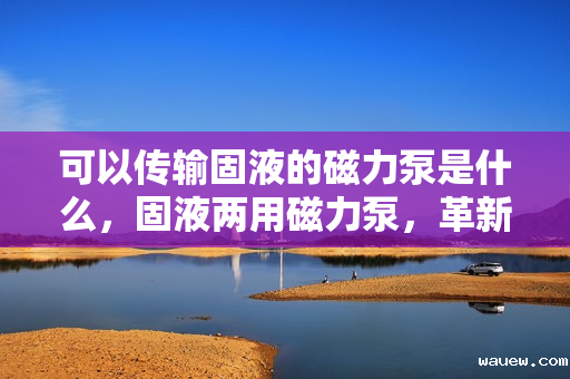 可以传输固液的磁力泵是什么,固液两用磁力泵,革新传输技术 可以传输固液的磁力泵是什么,固液两用磁力泵,革新传输技术