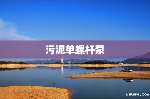 污泥单螺杆泵 污泥单螺杆泵