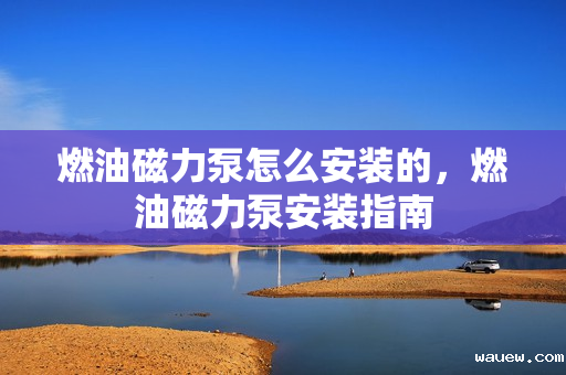 燃油磁力泵怎么安装的,燃油磁力泵安装指南 燃油磁力泵怎么安装的,燃油磁力泵安装指南