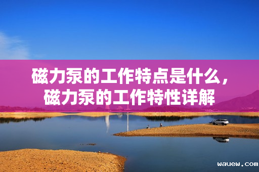 磁力泵的工作特点是什么,磁力泵的工作特性详解 磁力泵的工作特点是什么,磁力泵的工作特性详解