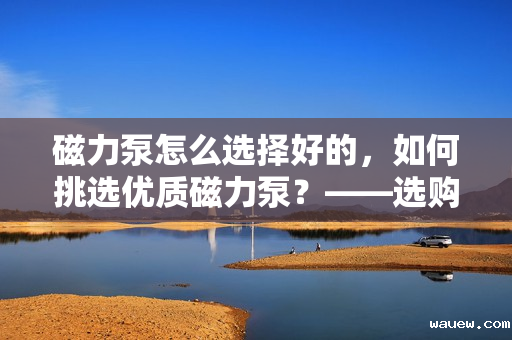 磁力泵怎么选择好的,如何挑选优质磁力泵?——选购指南与技巧 磁力泵怎么选择好的,如何挑选优质磁力泵?——选购指南与技巧