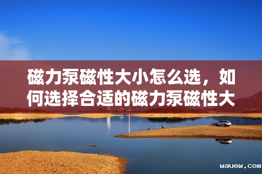 磁力泵磁性大小怎么选,如何选择合适的磁力泵磁性大小? 磁力泵磁性大小怎么选,如何选择合适的磁力泵磁性大小?