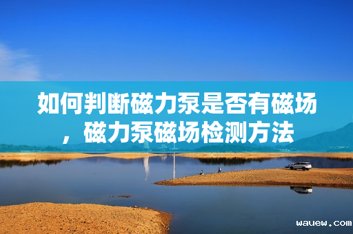 如何判断磁力泵是否有磁场,磁力泵磁场检测方法 如何判断磁力泵是否有磁场,磁力泵磁场检测方法