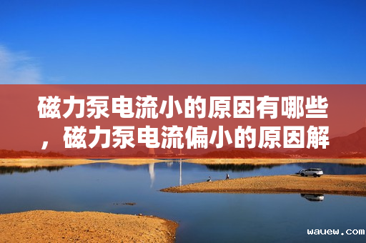 磁力泵电流小的原因有哪些,磁力泵电流偏小的原因解析 磁力泵电流小的原因有哪些,磁力泵电流偏小的原因解析