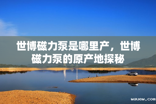 世博磁力泵是哪里产,世博磁力泵的原产地探秘 世博磁力泵是哪里产,世博磁力泵的原产地探秘