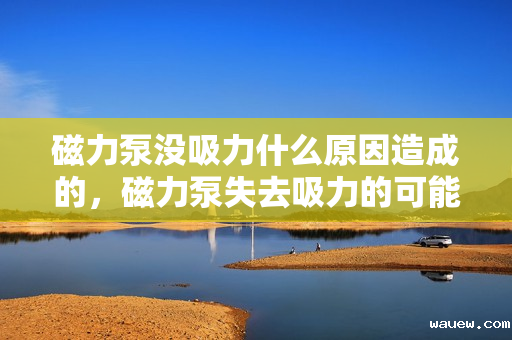 磁力泵没吸力什么原因造成的,磁力泵失去吸力的可能原因解析 磁力泵没吸力什么原因造成的,磁力泵失去吸力的可能原因解析