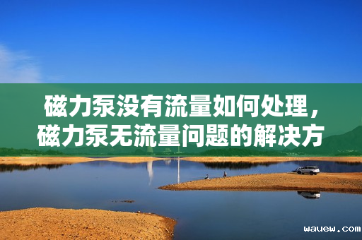 磁力泵没有流量如何处理,磁力泵无流量问题的解决方法 磁力泵没有流量如何处理,磁力泵无流量问题的解决方法