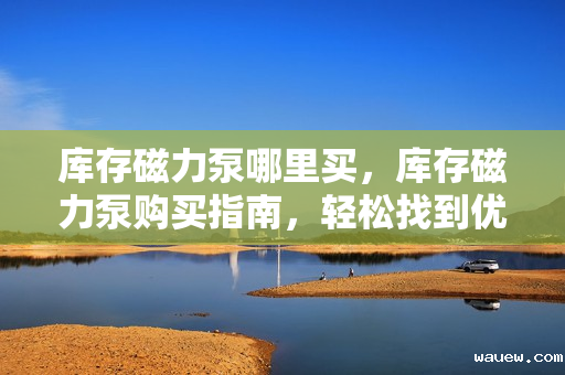 库存磁力泵哪里买,库存磁力泵购买指南,轻松找到优质购买渠道 库存磁力泵哪里买,库存磁力泵购买指南,轻松找到优质购买渠道