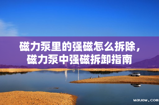 磁力泵里的强磁怎么拆除,磁力泵中强磁拆卸指南 磁力泵里的强磁怎么拆除,磁力泵中强磁拆卸指南