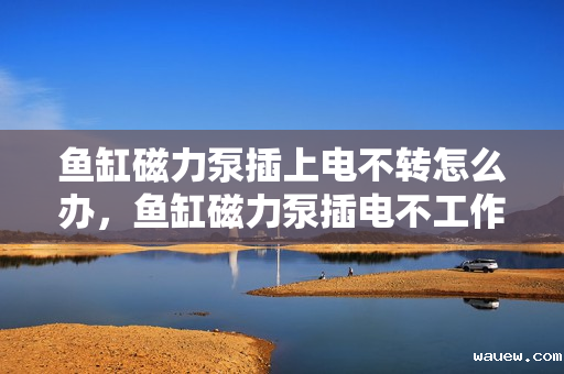 鱼缸磁力泵插上电不转怎么办,鱼缸磁力泵插电不工作解决方案 鱼缸磁力泵插上电不转怎么办,鱼缸磁力泵插电不工作解决方案