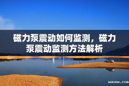 磁力泵震动如何监测,磁力泵震动监测方法解析 磁力泵震动如何监测,磁力泵震动监测方法解析