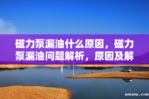 磁力泵漏油什么原因,磁力泵漏油问题解析,原因及解决方案 磁力泵漏油什么原因,磁力泵漏油问题解析,原因及解决方案