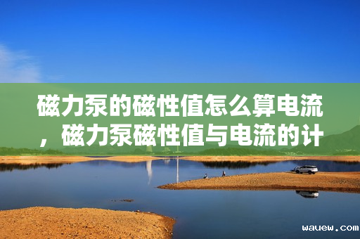 磁力泵的磁性值怎么算电流,磁力泵磁性值与电流的计算方法 磁力泵的磁性值怎么算电流,磁力泵磁性值与电流的计算方法