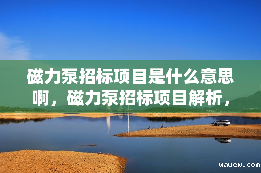 磁力泵招标项目是什么意思啊,磁力泵招标项目解析,定义、流程与注意事项 磁力泵招标项目是什么意思啊,磁力泵招标项目解析,定义、流程与注意事项