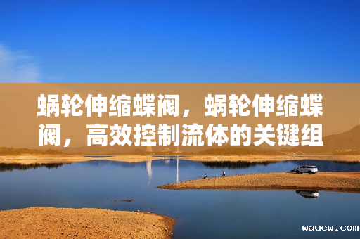 蜗轮伸缩蝶阀,蜗轮伸缩蝶阀,高效控制流体的关键组件 蜗轮伸缩蝶阀,蜗轮伸缩蝶阀,高效控制流体的关键组件