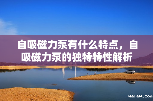 自吸磁力泵有什么特点,自吸磁力泵的独特特性解析 自吸磁力泵有什么特点,自吸磁力泵的独特特性解析