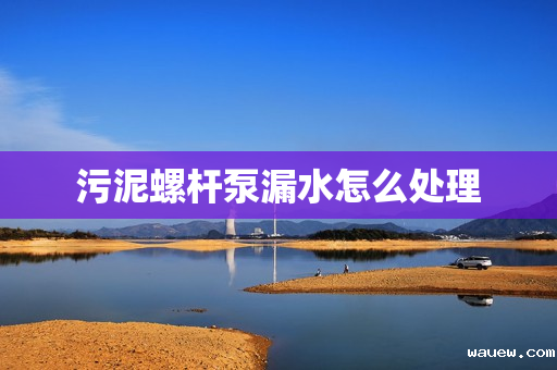 污泥螺杆泵漏水怎么处理 污泥螺杆泵漏水怎么处理