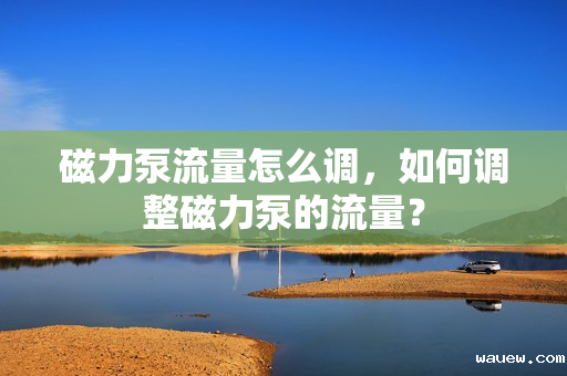 磁力泵流量怎么调,如何调整磁力泵的流量? 磁力泵流量怎么调,如何调整磁力泵的流量?
