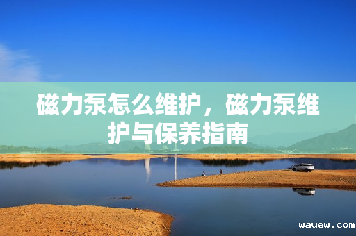 磁力泵怎么维护,磁力泵维护与保养指南 磁力泵怎么维护,磁力泵维护与保养指南