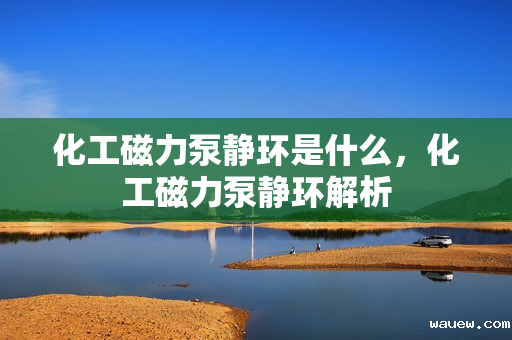 化工磁力泵静环是什么,化工磁力泵静环解析 化工磁力泵静环是什么,化工磁力泵静环解析