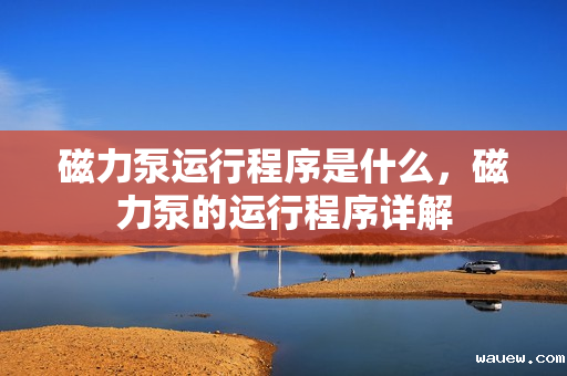 磁力泵运行程序是什么,磁力泵的运行程序详解 磁力泵运行程序是什么,磁力泵的运行程序详解