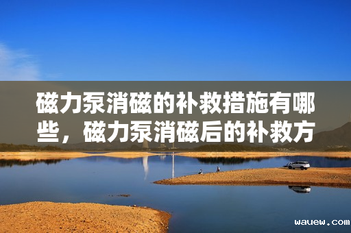 磁力泵消磁的补救措施有哪些,磁力泵消磁后的补救方法详解 磁力泵消磁的补救措施有哪些,磁力泵消磁后的补救方法详解