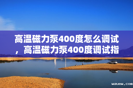 高温磁力泵400度怎么调试,高温磁力泵400度调试指南 高温磁力泵400度怎么调试,高温磁力泵400度调试指南