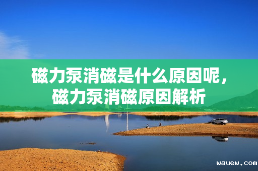 磁力泵消磁是什么原因呢,磁力泵消磁原因解析 磁力泵消磁是什么原因呢,磁力泵消磁原因解析