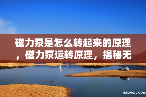 磁力泵是怎么转起来的原理,磁力泵运转原理,揭秘无接触动力传输的奥秘 磁力泵是怎么转起来的原理,磁力泵运转原理,揭秘无接触动力传输的奥秘