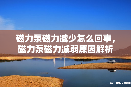 磁力泵磁力减少怎么回事,磁力泵磁力减弱原因解析 磁力泵磁力减少怎么回事,磁力泵磁力减弱原因解析