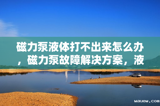 磁力泵液体打不出来怎么办,磁力泵故障解决方案,液体无法打出应对策略 磁力泵液体打不出来怎么办,磁力泵故障解决方案,液体无法打出应对策略