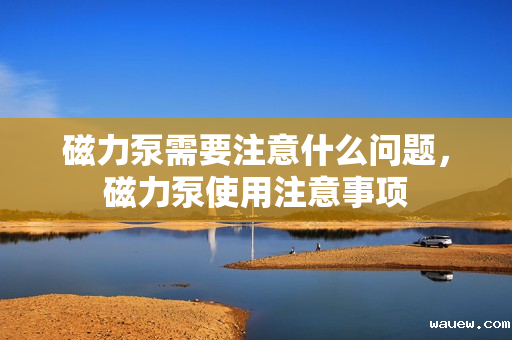 磁力泵需要注意什么问题,磁力泵使用注意事项 磁力泵需要注意什么问题,磁力泵使用注意事项