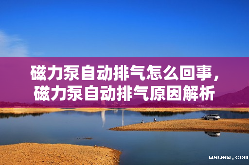 磁力泵自动排气怎么回事,磁力泵自动排气原因解析 磁力泵自动排气怎么回事,磁力泵自动排气原因解析