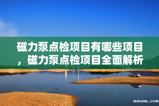 磁力泵点检项目有哪些项目,磁力泵点检项目全面解析 磁力泵点检项目有哪些项目,磁力泵点检项目全面解析