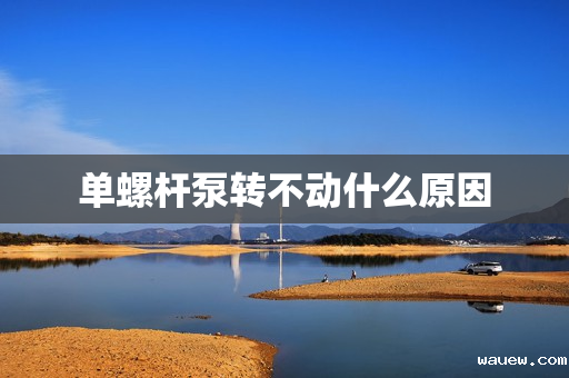 单螺杆泵转不动什么原因 单螺杆泵转不动什么原因