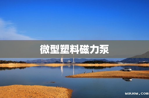 微型塑料磁力泵 微型塑料磁力泵