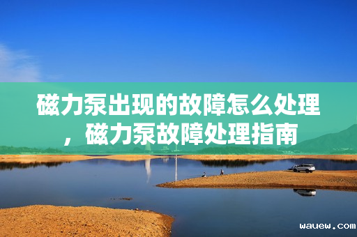 磁力泵出现的故障怎么处理,磁力泵故障处理指南 磁力泵出现的故障怎么处理,磁力泵故障处理指南