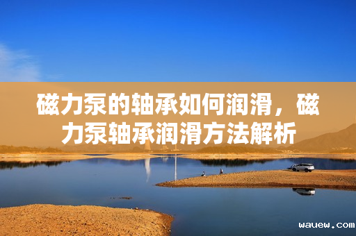 磁力泵的轴承如何润滑,磁力泵轴承润滑方法解析 磁力泵的轴承如何润滑,磁力泵轴承润滑方法解析