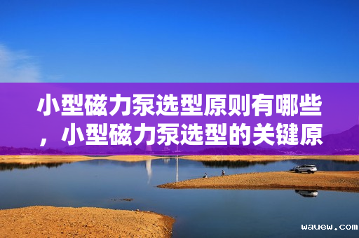 小型磁力泵选型原则有哪些,小型磁力泵选型的关键原则 小型磁力泵选型原则有哪些,小型磁力泵选型的关键原则