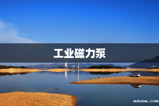 工业磁力泵 工业磁力泵