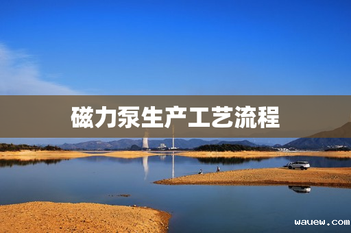 磁力泵生产工艺流程 磁力泵生产工艺流程