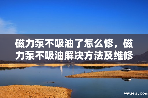 磁力泵不吸油了怎么修,磁力泵不吸油解决方法及维修指南 磁力泵不吸油了怎么修,磁力泵不吸油解决方法及维修指南