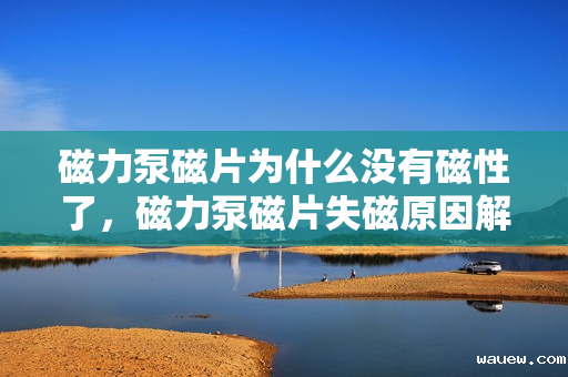 磁力泵磁片为什么没有磁性了,磁力泵磁片失磁原因解析 磁力泵磁片为什么没有磁性了,磁力泵磁片失磁原因解析